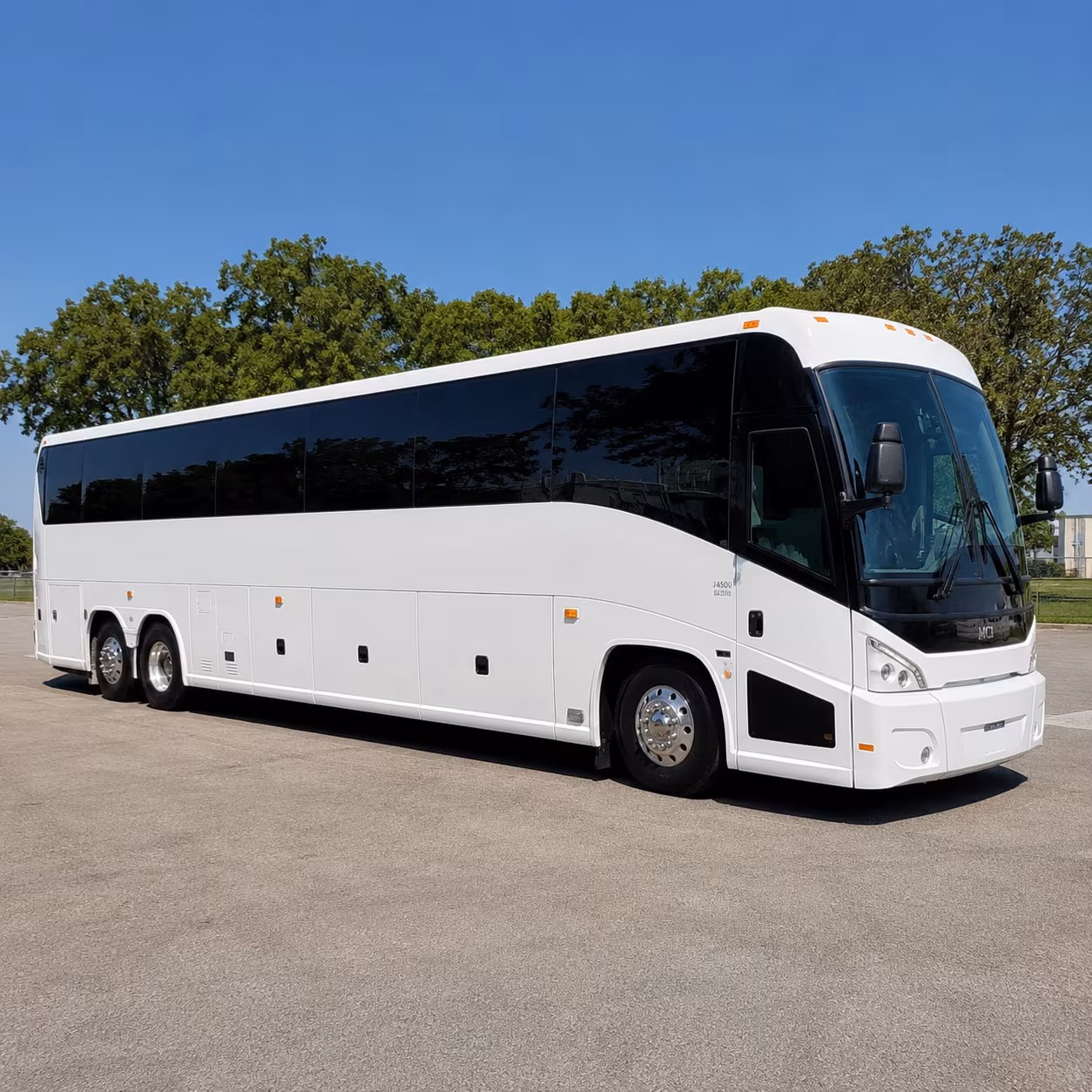 field trip buses to the buffalo zoo and delaware park